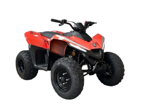Skytron SKR125